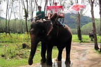 Archives - Photo n°239