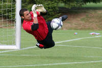 Été 2010 - Photo n°44