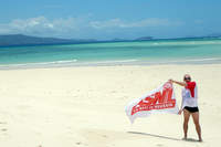 Janvier 2011 - Photo n°131