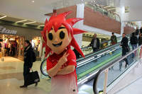 Stany au St-Seb - Photo n°11