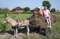 Archives - Photo n°302