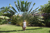 2ème trimestre - Photo n°11