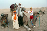 Archives - Photo n°242