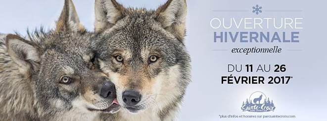Ouverture hivernale exceptionnelle au Parc Animalier de Sainte-Croix
